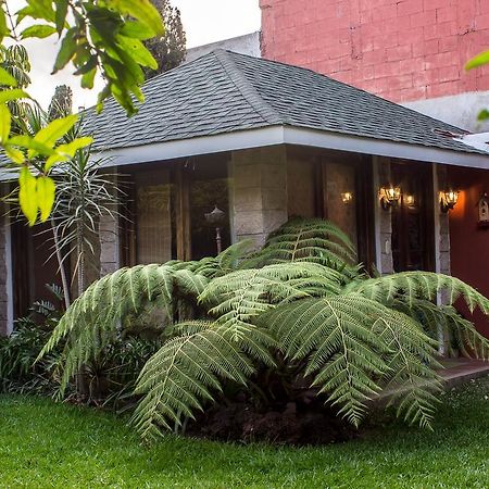 Mi Casa, Tu Casa Apartment Guatemala City Ngoại thất bức ảnh