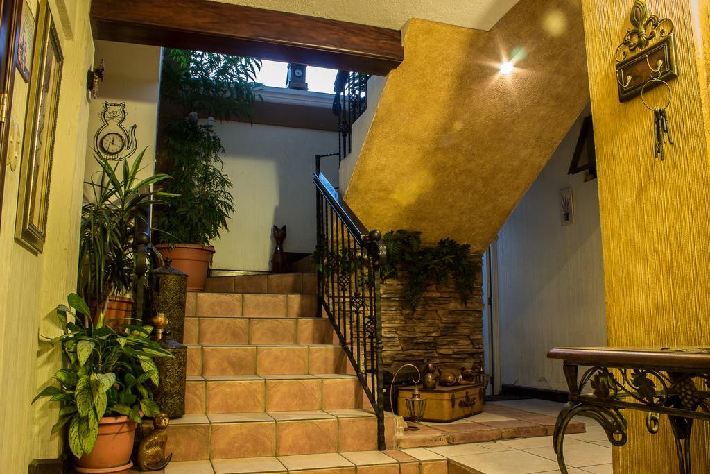 Mi Casa, Tu Casa Apartment Guatemala City Ngoại thất bức ảnh