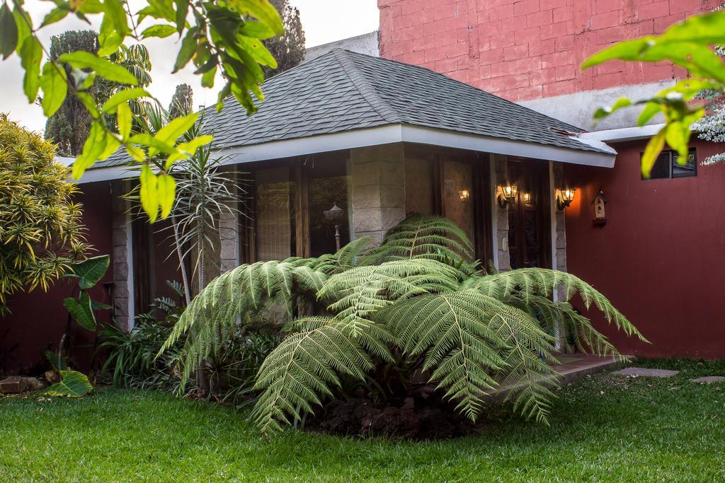 Mi Casa, Tu Casa Apartment Guatemala City Ngoại thất bức ảnh